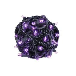 Novelty Lights Inc Novelty Lights 50 Light LED Christmas Mini Light Set (Black Wire, 25 Feet) -HYDE & EEK BOUTIQUE Store GUEST 01c0092d d33c 450e 9cc5 06d420906915