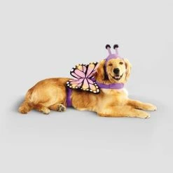 Halloween Full Body LED Butterfly Cat and Dog Costume - Hyde & EEK! Boutique™ -HYDE & EEK BOUTIQUE Store GUEST 034aba42 c65a 472d 8dbe 5c8509c04883