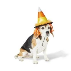 Candy Corn Witch Hat Dog and Cat Costume - Hyde & EEK! Boutique™ 11 Candy Corn Witch Hat Dog and Cat Costume - Hyde & EEK! Boutique™ -HYDE & EEK BOUTIQUE Store GUEST 037c0a28 b98e 4f3b 9f2c 8b0db0b93ba7