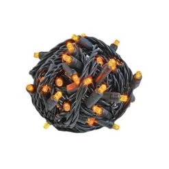 Novelty Lights Inc Novelty Lights 50 Light LED Christmas Mini Light Set (Black Wire, 25 Feet) -HYDE & EEK BOUTIQUE Store GUEST 047ec919 789b 412b 856c bf0d12e3817e