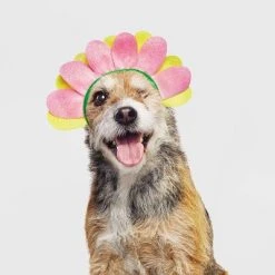 Halloween Flower Cat and Dog Headwear - Hyde & EEK! Boutique™ -HYDE & EEK BOUTIQUE Store GUEST 0862e90c 1953 4bfd b6cb 0b705db69059