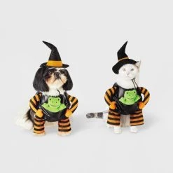 Witch with Toy Frog Dog and Cat Costume - Hyde & EEK! Boutique™ -HYDE & EEK BOUTIQUE Store GUEST 1efad272 601e 4297 96d3 ba5f4ee06e2d 1