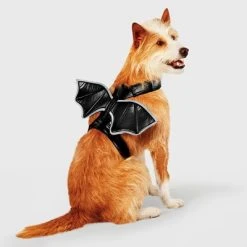 Reflective Halloween Bat Wings Rider Dog and Cat Costume - Hyde & EEK! Boutique™ 12 Reflective Halloween Bat Wings Rider Dog and Cat Costume - Hyde & EEK! Boutique™ -HYDE & EEK BOUTIQUE Store GUEST 2152008a 90b7 409c 879d c15f0110c5de