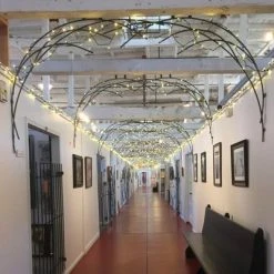 Novelty Lights Inc Novelty Lights 50 Light LED Christmas Mini Light Set (Black Wire, 25 Feet) -HYDE & EEK BOUTIQUE Store GUEST 2d88632e e80f 424d ae3c 1adba4caf433