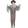Sunstar Industries Sunstar Scarecrow LED Lighted Hanging Halloween Decoration - 72 in x 55 in - Multicolored