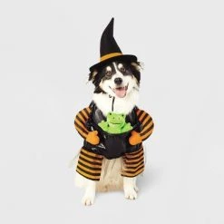 Witch with Toy Frog Dog and Cat Costume - Hyde & EEK! Boutique™ -HYDE & EEK BOUTIQUE Store GUEST 3f06d9a9 2c9a 4995 97d3 92d0aac75712