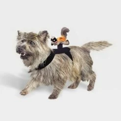 Rider Wings Halloween Superhero Squirrel Cat and Dog Costume - Hyde & EEK! Boutique™ -HYDE & EEK BOUTIQUE Store GUEST 47f8fb9b 2747 4874 8303 03ba78691f54