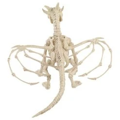 Seasons USA Inc Seasons USA Skeleton Dragon Prop Halloween Decoration - 13 in x 22 in x 8 in - Off-White