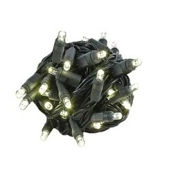 Novelty Lights Inc Novelty Lights 50 Light LED Christmas Mini Light Set (Black Wire, 25 Feet) -HYDE & EEK BOUTIQUE Store GUEST 51c5ec52 aae6 4012 9140 aa4f03d6f3c0