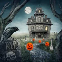 Northlight Set of 5 Jack-O-Lantern Shaped Halloween Pathway Markers - 3.75ft Black Wire