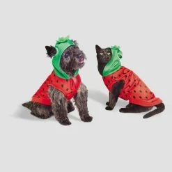 Basic Halloween Strawberry Cat and Dog Hoodie - Hyde & EEK! Boutique™ -HYDE & EEK BOUTIQUE Store GUEST 602f238f b5de 4575 804c cedc95b8509e 1
