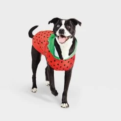 Basic Halloween Strawberry Cat and Dog Hoodie - Hyde & EEK! Boutique™ -HYDE & EEK BOUTIQUE Store GUEST 6a89f053 4a75 4ee0 ab48 2bf6a250c09f