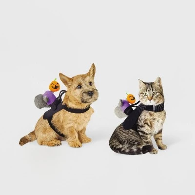 Headless Horseman Squirrel Rider Dog and Cat Costume - Hyde & EEK! Boutique™ 4 Headless Horseman Squirrel Rider Dog and Cat Costume - Hyde & EEK! Boutique™ - Image 4