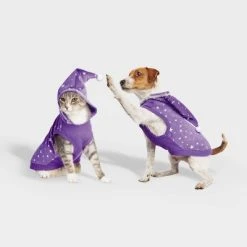 Basic Halloween Velour Wizard Cat and Dog Hoodie - Hyde & EEK! Boutique™ 14 Basic Halloween Velour Wizard Cat and Dog Hoodie - Hyde & EEK! Boutique™ -HYDE & EEK BOUTIQUE Store GUEST 6f209f4a 3013 45db 97e7 e636650a8522