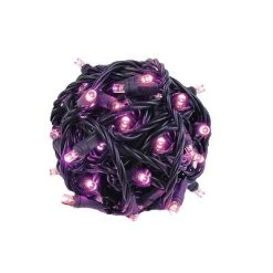 Novelty Lights Inc Novelty Lights 50 Light LED Christmas Mini Light Set (Black Wire, 25 Feet) -HYDE & EEK BOUTIQUE Store GUEST 7df7b3b5 1d7e 4271 a471 ec7469780c0a