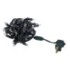 Novelty Lights Inc Novelty Lights 50 Light LED Christmas Mini Light Set (Black Wire, 25 Feet)