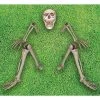 Sunstar Industries Sunstar Ground Breaker Skeleton Halloween Decoration - 6 ft - Beige