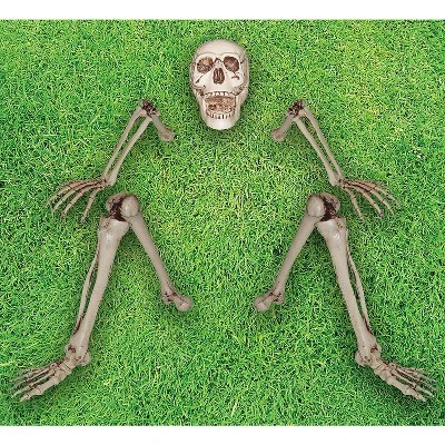 Sunstar Industries Sunstar Ground Breaker Skeleton Halloween Decoration - 6 ft - Beige 1 Sunstar Industries Sunstar Ground Breaker Skeleton Halloween Decoration - 6 ft - Beige