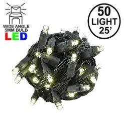 Novelty Lights Inc Novelty Lights 50 Light LED Christmas Mini Light Set (Black Wire, 25 Feet) -HYDE & EEK BOUTIQUE Store GUEST 854d39f1 5677 4415 b0cc ba6883c0bea4