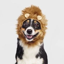 Halloween Lion Cat and Dog Headwear - Hyde & EEK! Boutique™ -HYDE & EEK BOUTIQUE Store GUEST 8f4ac99b 8908 4bb5 830d eb060bfb391a