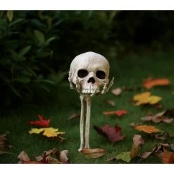 Seasons USA Inc Seasons USA Skull in Hand Ground Breaker Halloween Decoration - 6 in x 7 in x 14.5 in - White 5 Seasons USA Inc Seasons USA Skull in Hand Ground Breaker Halloween Decoration - 6 in x 7 in x 14.5 in - White -HYDE & EEK BOUTIQUE Store GUEST 98e0c917 f316 476b bb80 9085698718c4