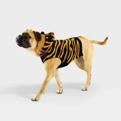 Tiger Halloween Cat and Dog Hoodie - Hyde & EEK! Boutique™ 17 Tiger Halloween Cat and Dog Hoodie - Hyde & EEK! Boutique™ -HYDE & EEK BOUTIQUE Store GUEST 9cf0faa3 50d0 426d b092 1e97106b9c4d 1