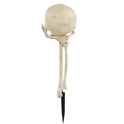 Seasons USA Inc Seasons USA Skull in Hand Ground Breaker Halloween Decoration - 6 in x 7 in x 14.5 in - White 1 Seasons USA Inc Seasons USA Skull in Hand Ground Breaker Halloween Decoration - 6 in x 7 in x 14.5 in - White