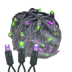Novelty Lights Inc Novelty Lights 50 Light LED Christmas Mini Light Set (Black Wire, 25 Feet) -HYDE & EEK BOUTIQUE Store GUEST af1a947a 5c07 4732 801d 613a333dd46a