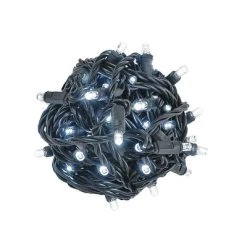 Novelty Lights Inc Novelty Lights 50 Light LED Christmas Mini Light Set (Black Wire, 25 Feet) -HYDE & EEK BOUTIQUE Store GUEST ccaac0ee 4be6 4003 9d68 1a7adc0b6115