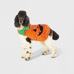 Halloween Plush Pumpkin Dog and Cat Costume - Hyde & EEK! Boutique™ 16 Halloween Plush Pumpkin Dog and Cat Costume - Hyde & EEK! Boutique™ -HYDE & EEK BOUTIQUE Store GUEST cfbc3f78 0f58 471c ba5c b17b7ba4b810 1
