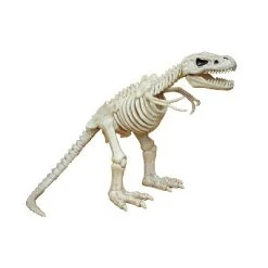 Seasons USA Inc Seasons USA T-Rex Skeleton Halloween Decoration - 16.25 in x 10.5 in x 15.5 in - Off-White