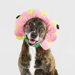 Halloween Flower Cat and Dog Headwear - Hyde & EEK! Boutique™ -HYDE & EEK BOUTIQUE Store GUEST d1923860 f9c4 4a11 8f42 5a4007cda41e 1