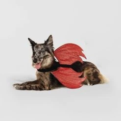 Rider Wings Halloween Red Devil Cat and Dog Costume - Hyde & EEK! Boutique™ -HYDE & EEK BOUTIQUE Store GUEST d5d516f3 0947 42fe bea5 e99e854c9f30 1