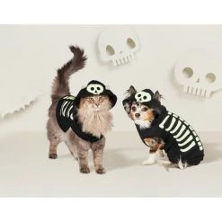 Skeleton Glow Hoodie Halloween Dog and Cat Costume - Hyde & EEK! Boutique™ 14 Skeleton Glow Hoodie Halloween Dog and Cat Costume - Hyde & EEK! Boutique™ -HYDE & EEK BOUTIQUE Store GUEST f6a62c4c 2c42 4f23 8d4c 26353b1aa14b