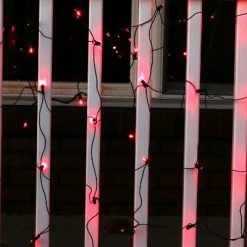 Sunnydaze Decor Sunnydaze Electric Plug-In 70ct LED Indoor/Outdoor Net String Lights 5mm Wide Angle - 6' x 4' Green Wire 19 Sunnydaze Decor Sunnydaze Electric Plug-In 70ct LED Indoor/Outdoor Net String Lights 5mm Wide Angle - 6' x 4' Green Wire -HYDE & EEK BOUTIQUE Store GUEST f7de8979 9b93 43d6 ac59 fe5380a48357